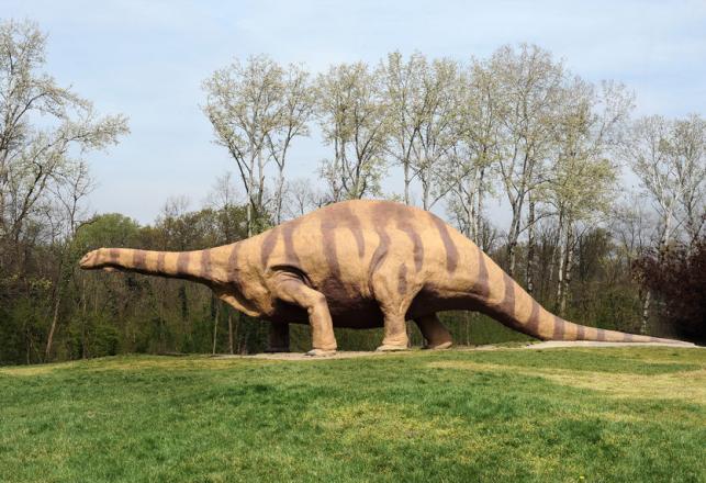 Brontosaurus, sauropod faj - PROAKTIVdirekt Életmód magazin és hírek - proaktivdirekt.com