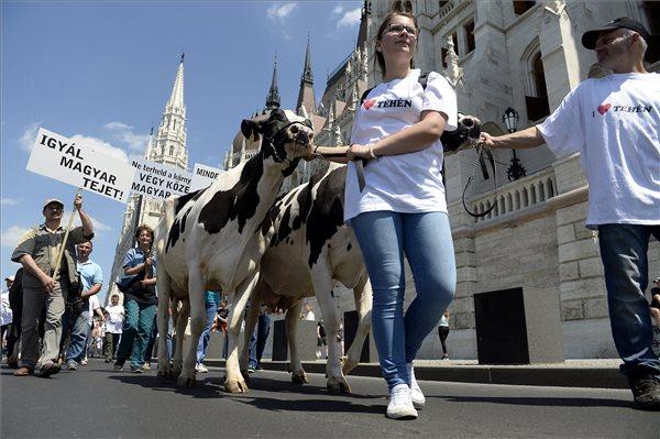 Az alacsony felvásárlási árak és a feldolgozott tejtermékek áfacsökkentésének elmaradása miatt tiltakozó tejtermelők | MTI Fotó: Kovács Tamás - PROAKTIVdirekt Életmód magazin és hírek - proaktivdirekt.com