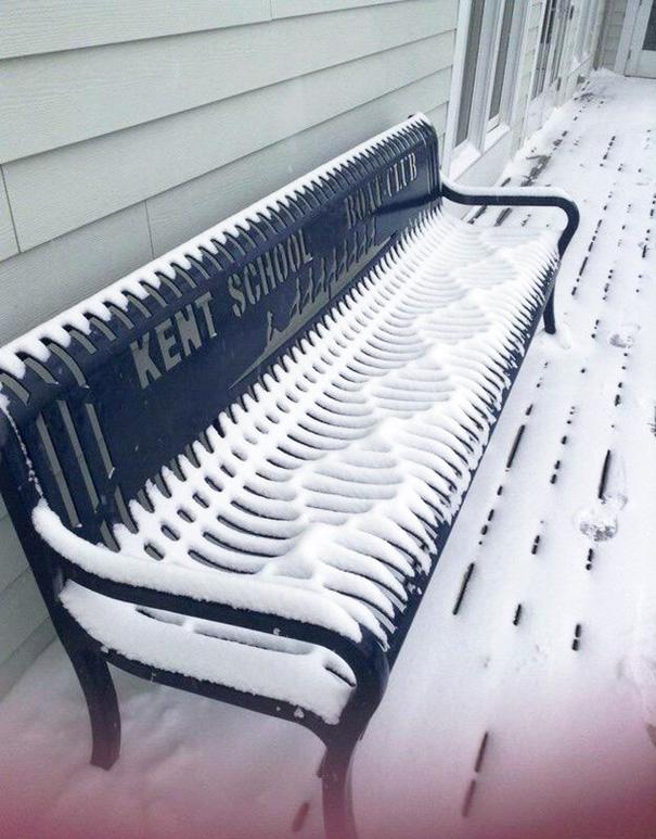Tökéletes véletlen | Fotó via boredpanda.com