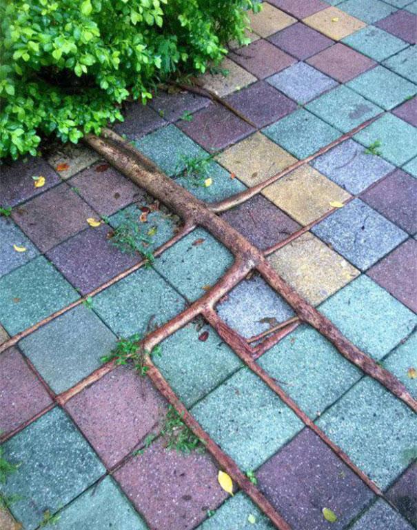 Tökéletes véletlen | Fotó via boredpanda.com