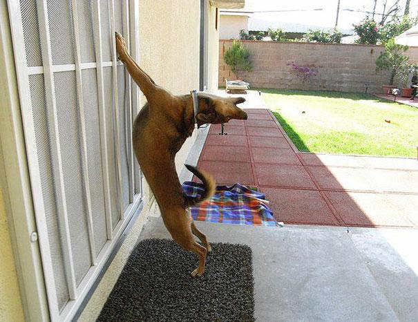 Forrás: boredpanda.com