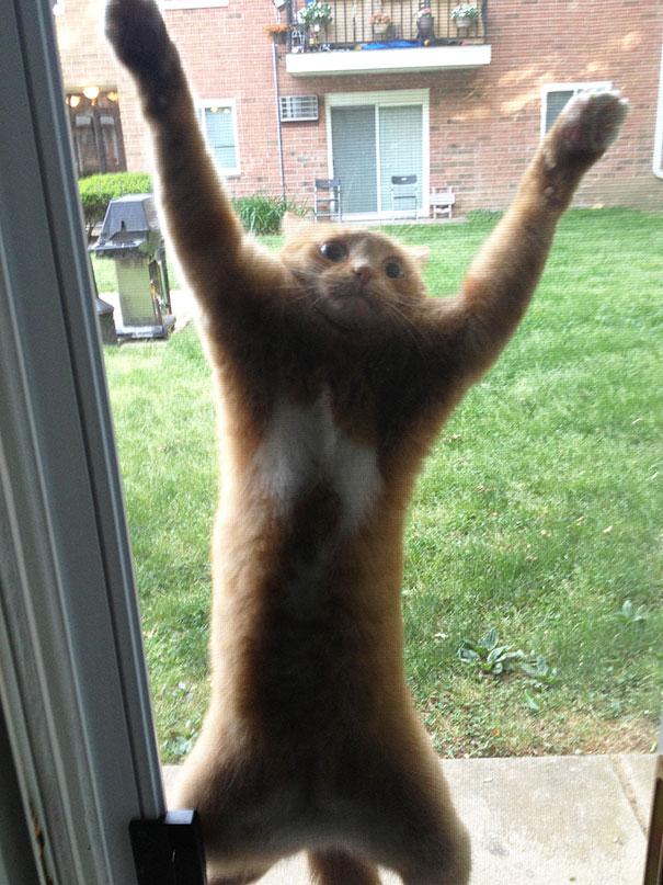 Forrás: boredpanda.com