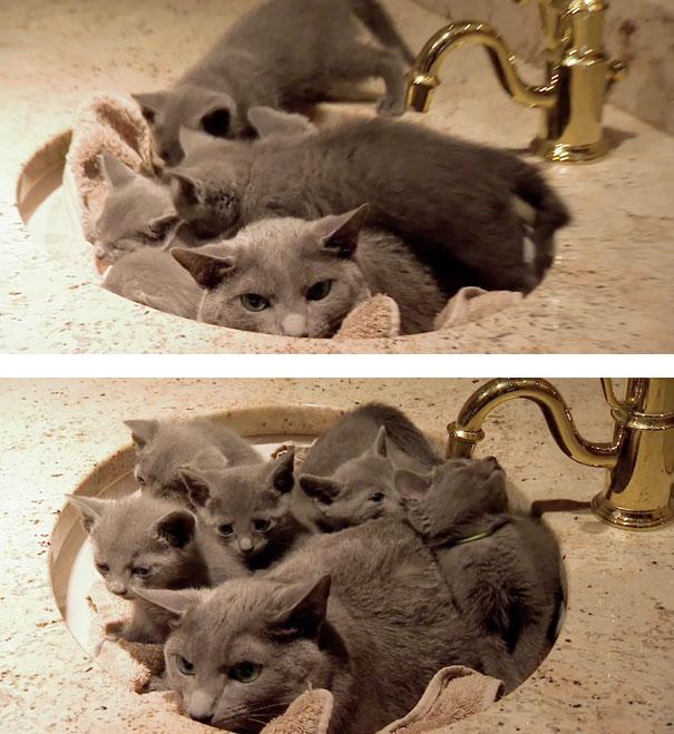 Az anyaság szépségei | Fotó via boredpanda.com