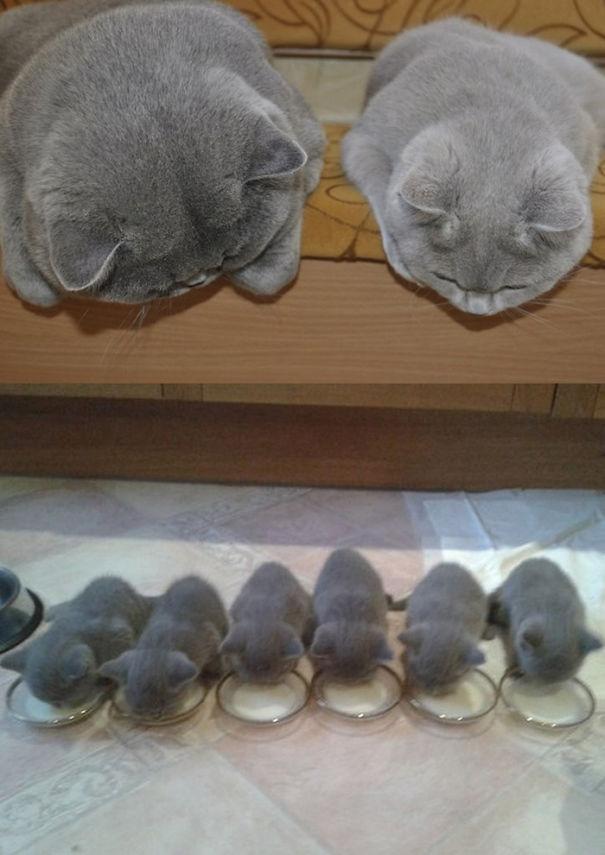 Az anyaság szépségei | Fotó via boredpanda.com
