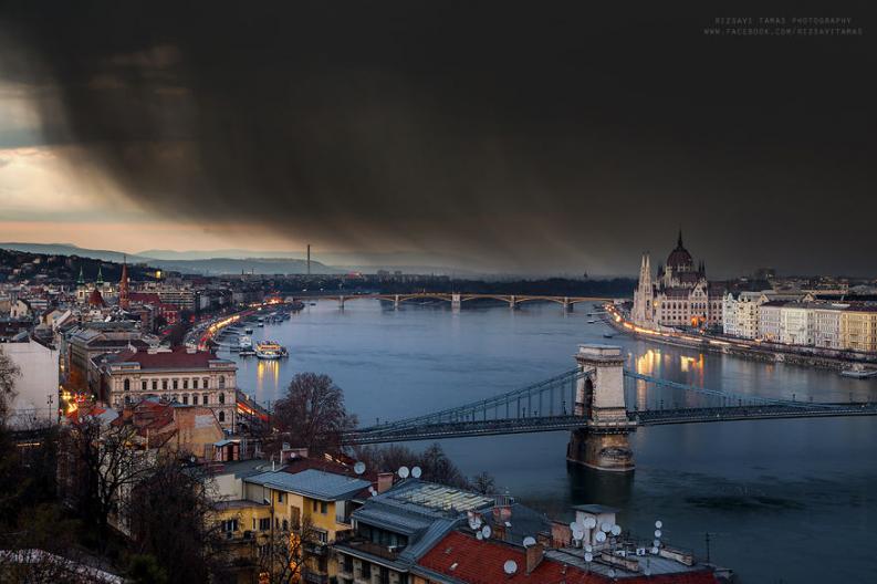Rizsavi Tamás via boredpanda.com