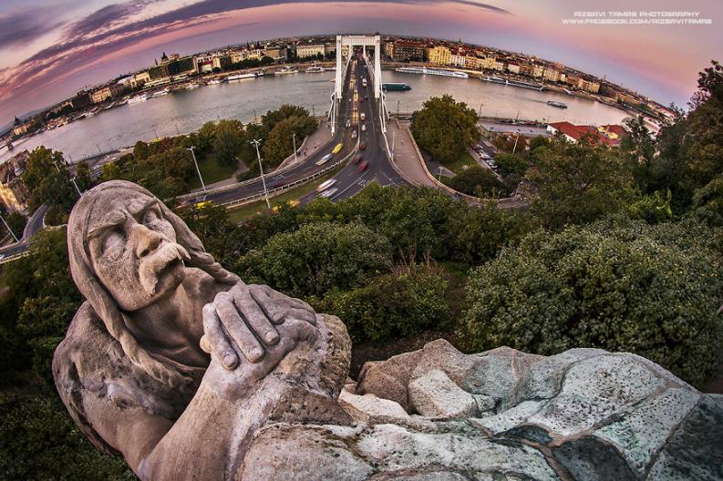 Rizsavi Tamás via boredpanda.com
