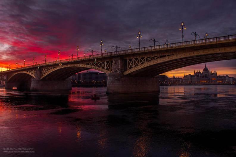 Budapest | Fotó: Mark Mervai via boredpanda.com
