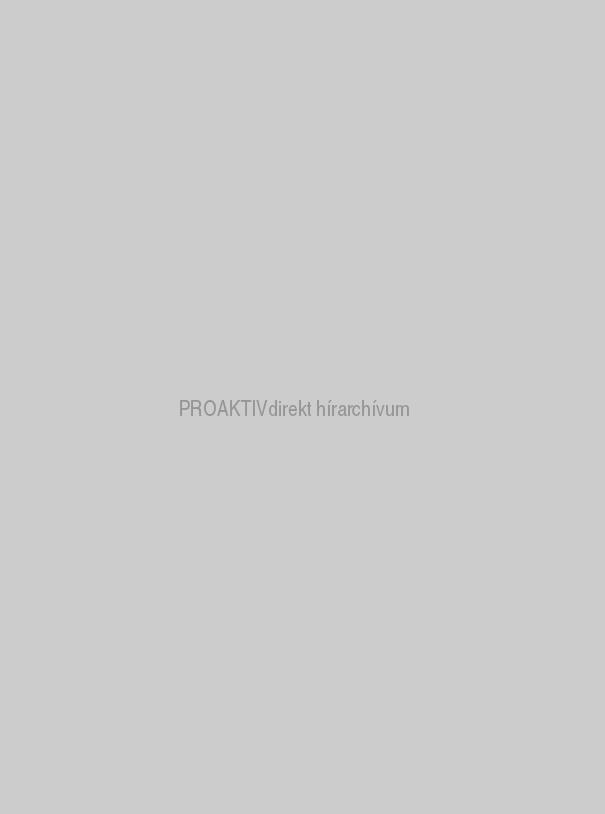 Harisnya | Forrás: boredpanda.com