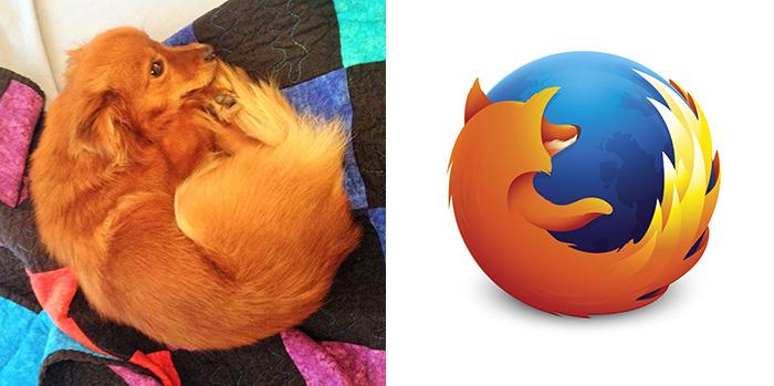 Forrás: boredpanda.com