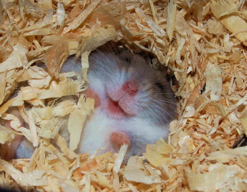 Fotó: boredpanda.com