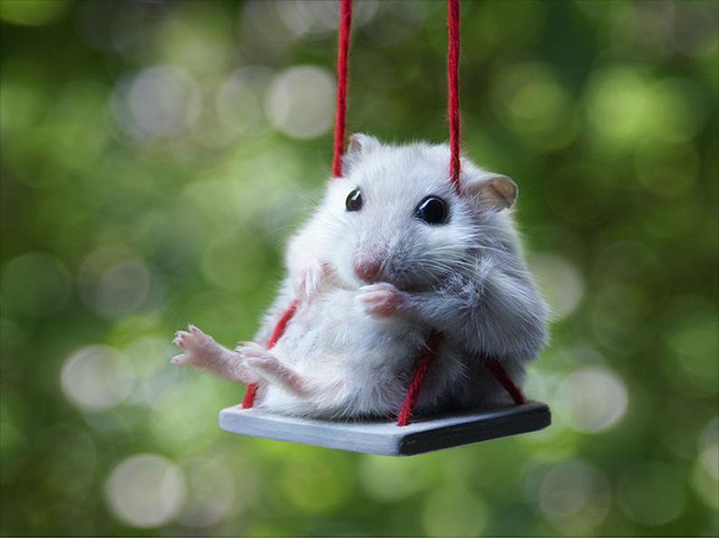 Fotó: boredpanda.com