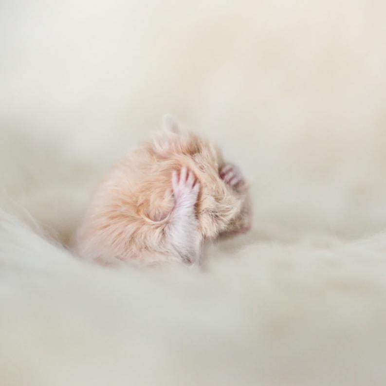 Fotó: boredpanda.com