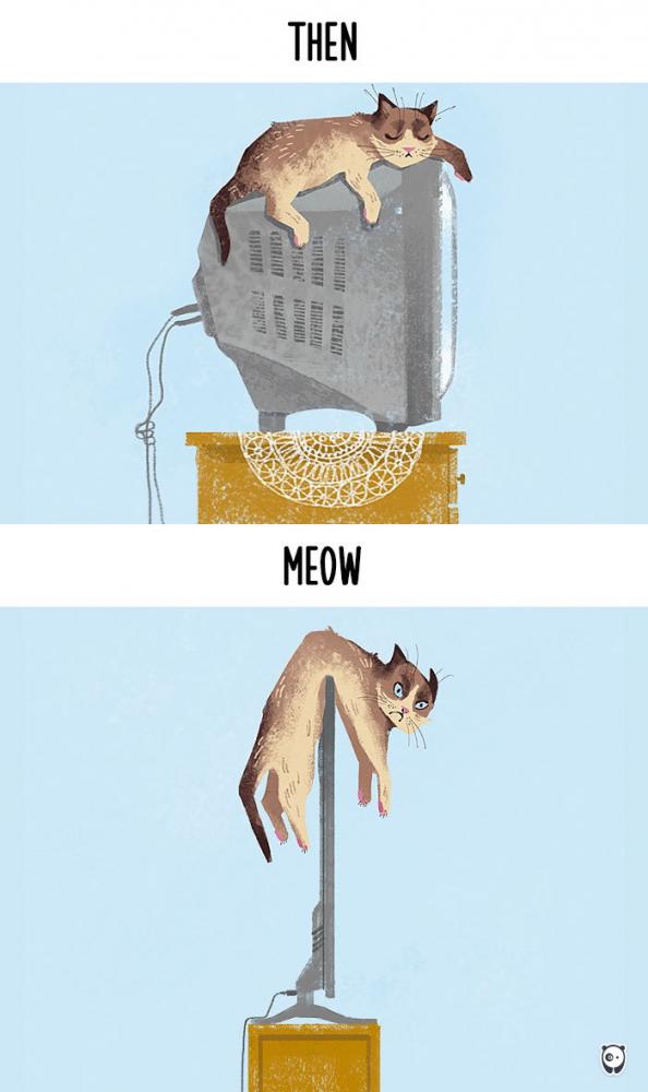 Macskák, akkor és most | Fotó: boredpanda.com