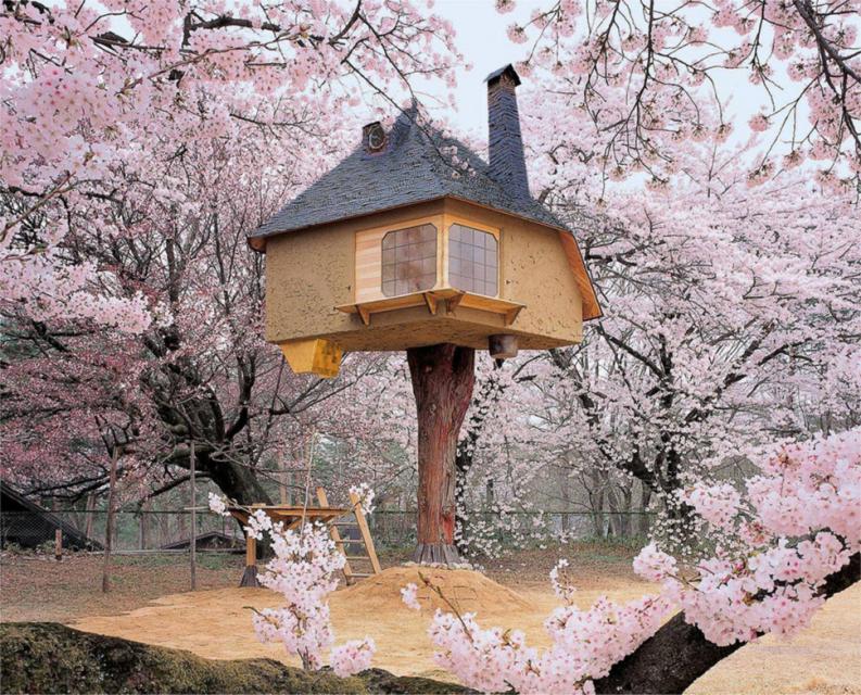 Mini ház a cseresznyefán | Fotó:  news.distractify.com