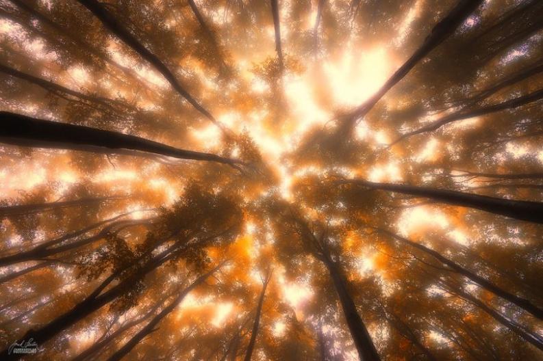 Fotó: Janek Sedlar via boredpanda.com