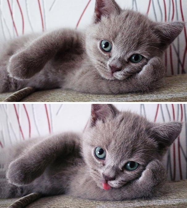 Fotó: boredpanda.com