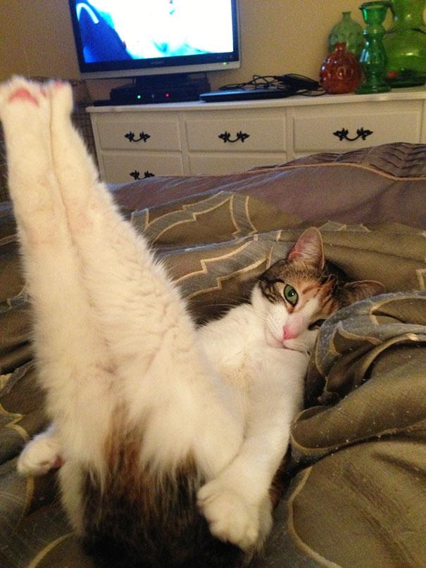 Fotó: boredpanda.com