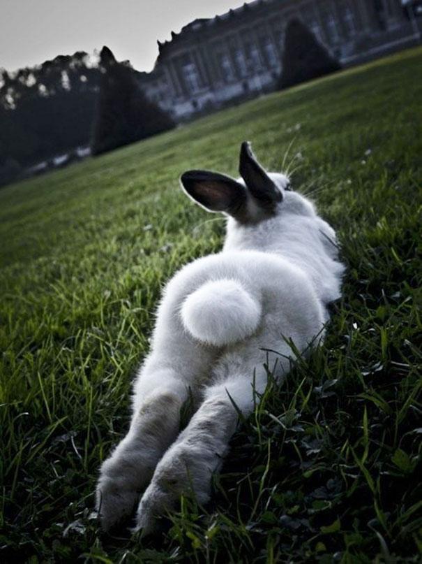 Fotó: boredpanda.com