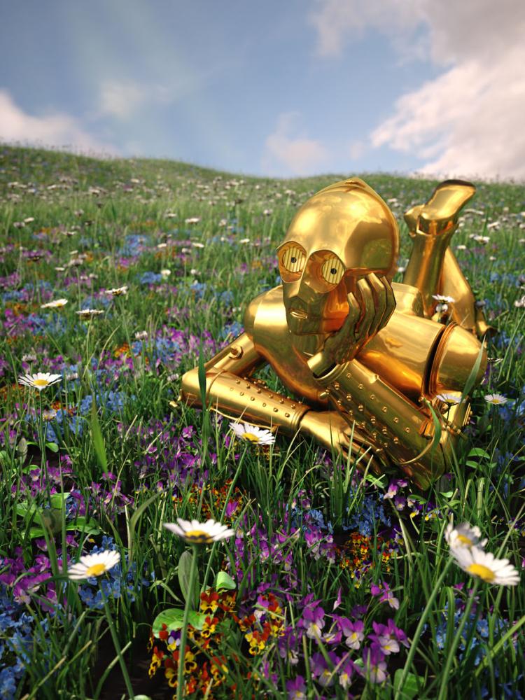 Star Wars vakáció | Fotó via boredpanda.com