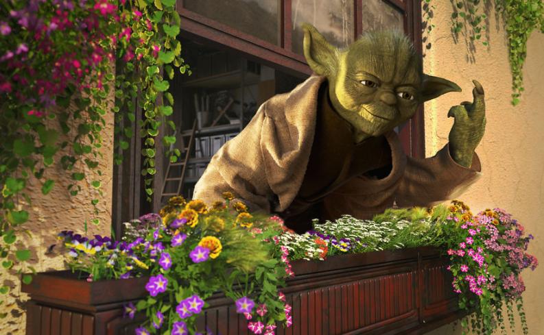 Star Wars vakáció | Fotó via boredpanda.com