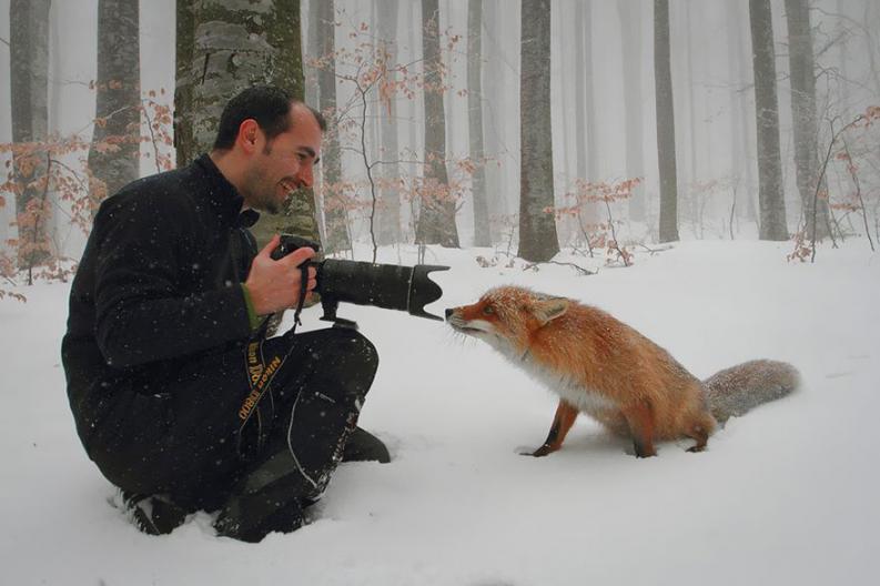 Természetfotósok | Forrás: boredpanda.com