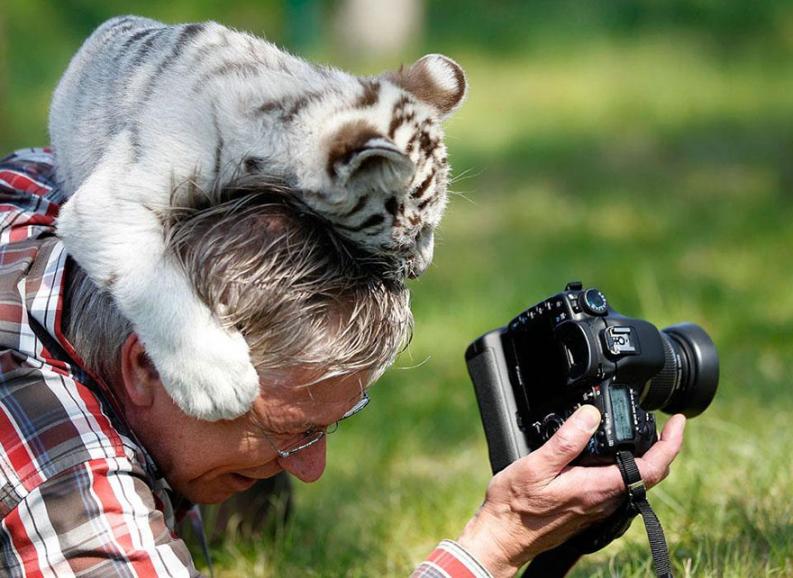 Természetfotósok | Forrás: boredpanda.com
