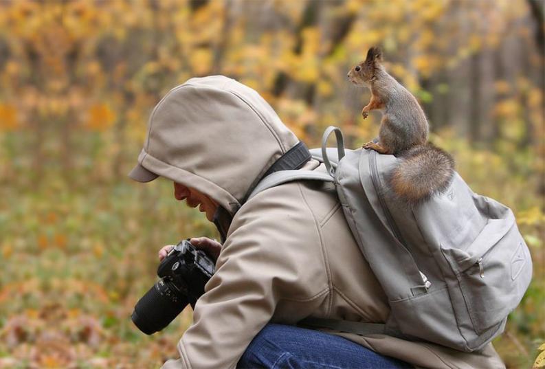 Természetfotósok | Forrás: boredpanda.com