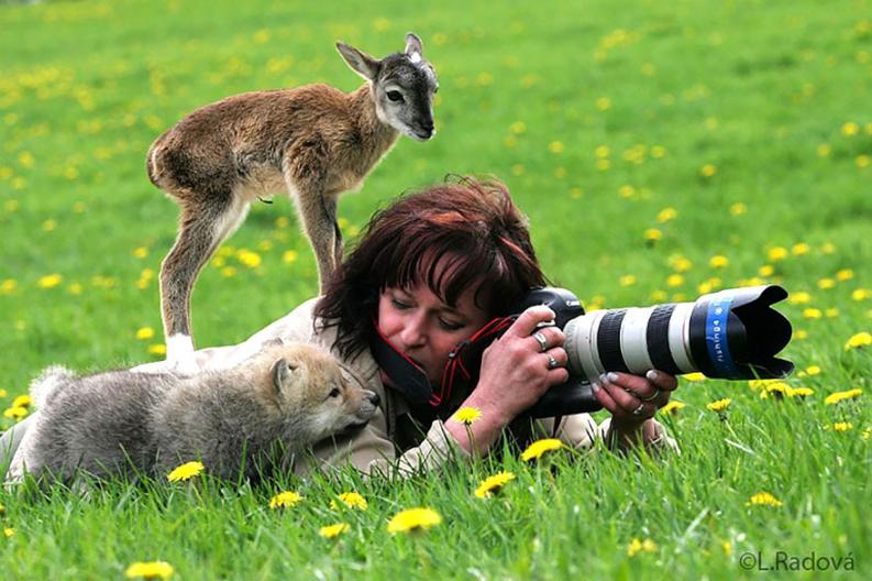 Természetfotósok | Forrás: boredpanda.com