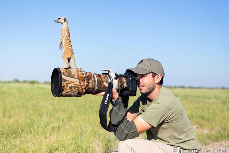 Természetfotósok | Forrás: boredpanda.com