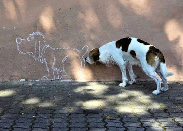 Tökéletes időzítés és szög | Forrás: boredpanda.com