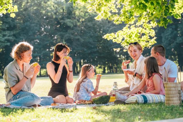 Családi piknik Fotó: 123rf.com - PROAKTIVdirekt Életmód magazin és hírek - proaktivdirekt.com