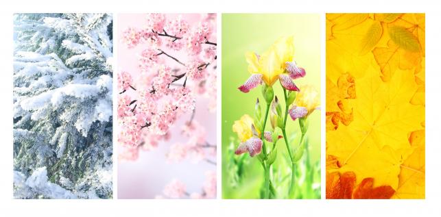 Évszakváltás Fotó: 123rf.com - PROAKTIVdirekt Életmód magazin és hírek - proaktivdirekt.com