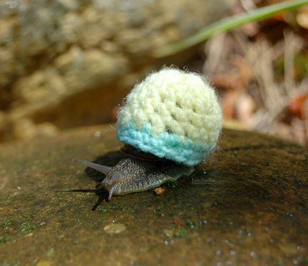 Kisállatok mini pulóverekben | Forrás: boredpanda.com