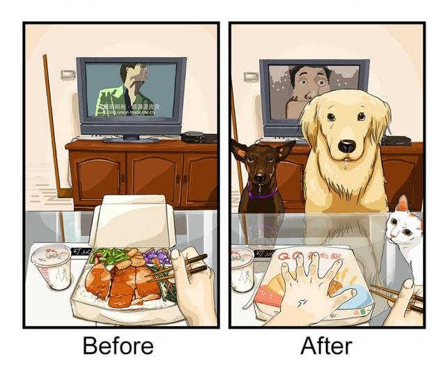 Élet kutya előtt és után6:-) | Forrás: boredpanda.com