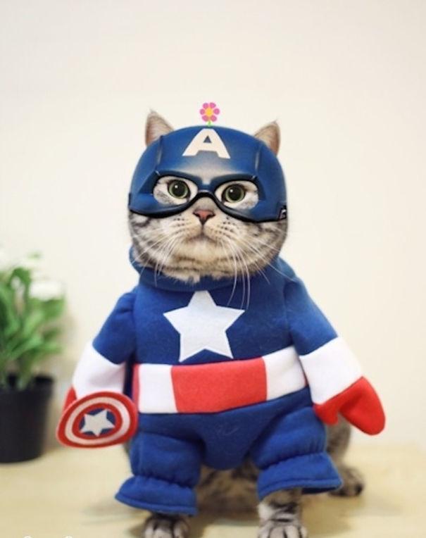 Forrás: boredpanda.com