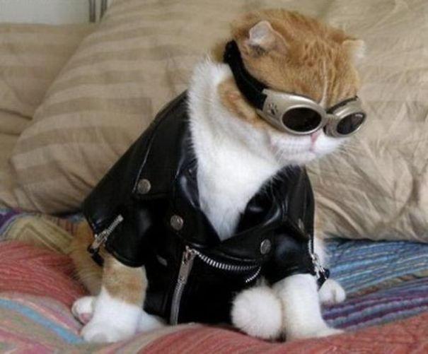 Forrás: boredpanda.com