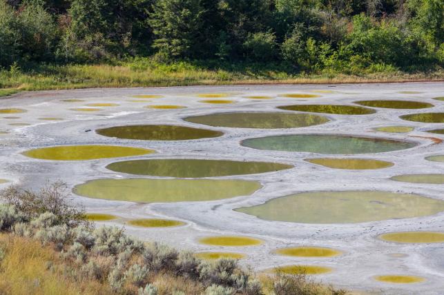 Spotted lake Canada Fotó:123rf.hu - PROAKTIVdirekt Életmód magazin és hírek - proaktivdirekt.com