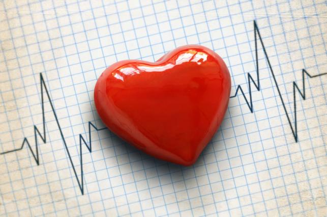 A szív egészsége