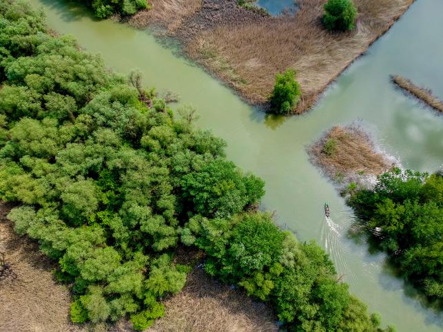 Tisza-tó Fotó:123rf.com - PROAKTIVdirekt Életmód magazin és hírek - proaktivdirekt.com