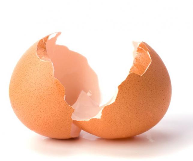 A tojáshéj felhasználása – ZÖLD SZOKÁSOK