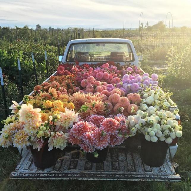 Virágárus | Fotó: instagram.com/floretflower via boredpanda.com - PROAKTIVdirekt Életmód magazin és hírek - proaktivdirekt.com