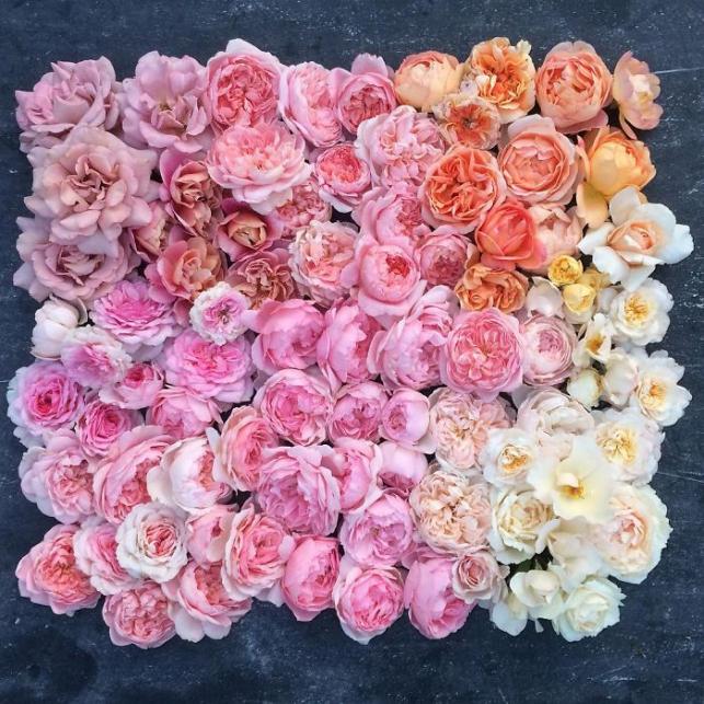 Virágárus | Fotó: instagram.com/floretflower via boredpanda.com