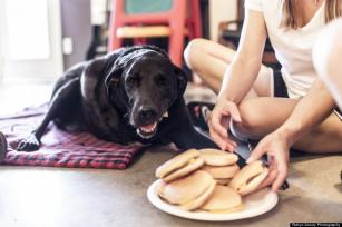 Dukey utolsó napja | fotó: Robyn Arouty Photography - PROAKTIVdirekt Életmód magazin és hírek - proaktivdirekt.com