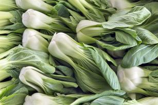 Pak Choi - PROAKTIVdirekt Életmód magazin és hírek - proaktivdirekt.com